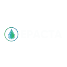 Epacta